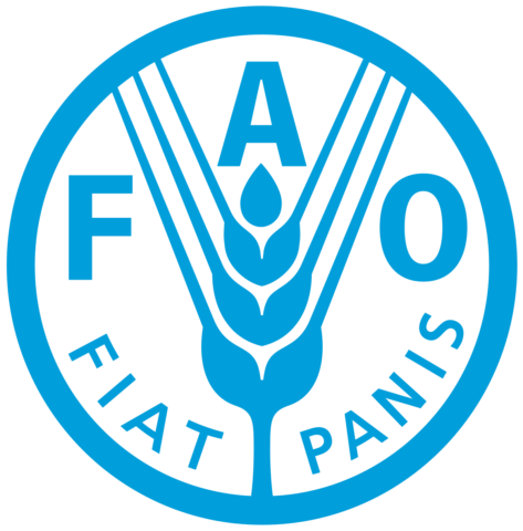 Read more about the article Programme Assistant (FAO Representative Network) Job Vacancy in Accra, Ghana | Join FAO’s Regional Office for Africa