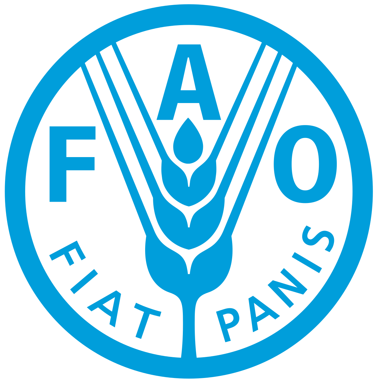 Read more about the article Programme Assistant (FAO Representative Network) Job Vacancy in Accra, Ghana | Join FAO’s Regional Office for Africa