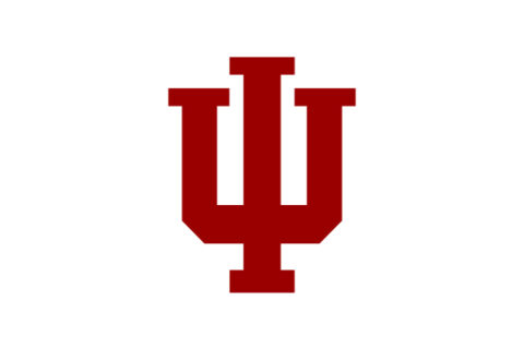 Read more about the article Teaching Assistants at Indiana University